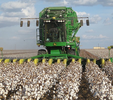 Cotton Equipment